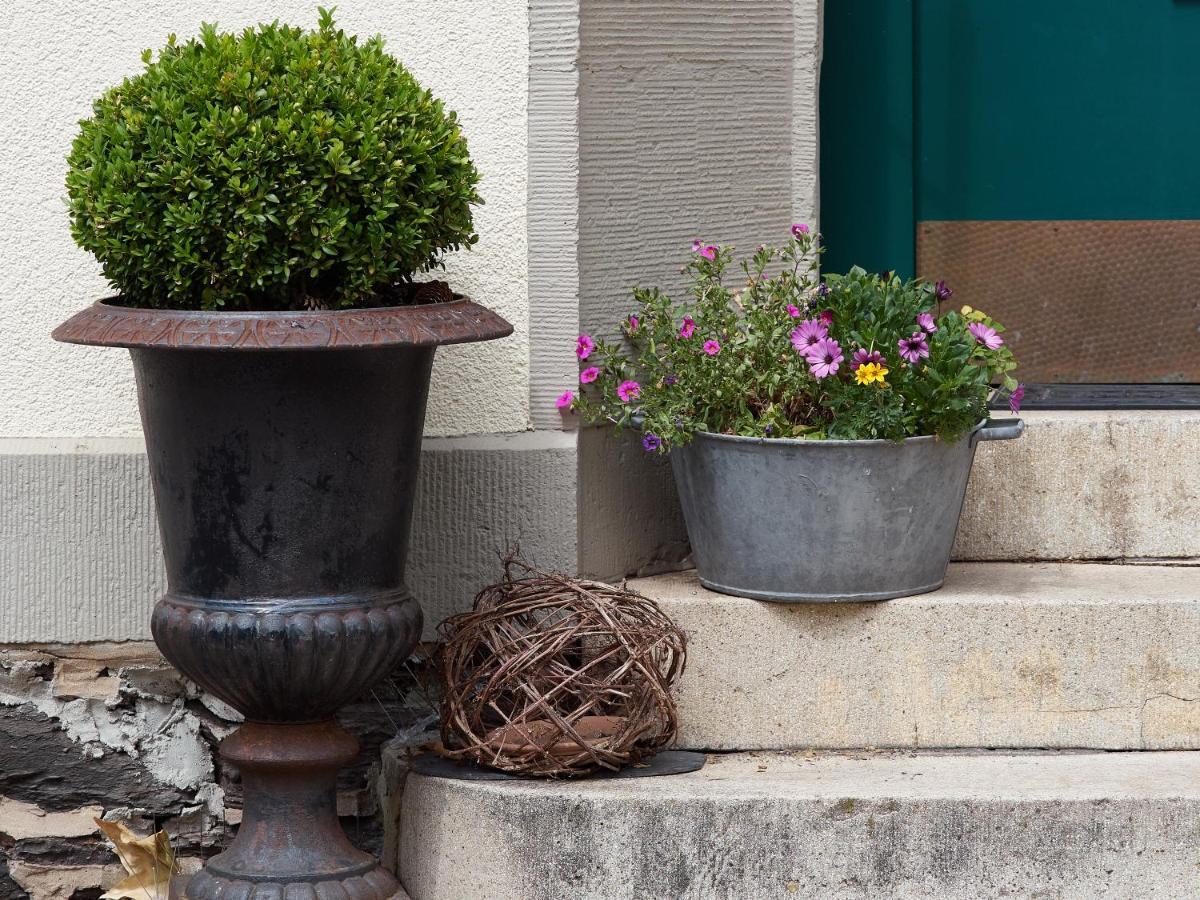 Haus Bley Apartment Wittlich Exterior foto